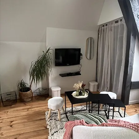 Le Toit Des Jardins Apartamento Bagnères-de-Bigorre